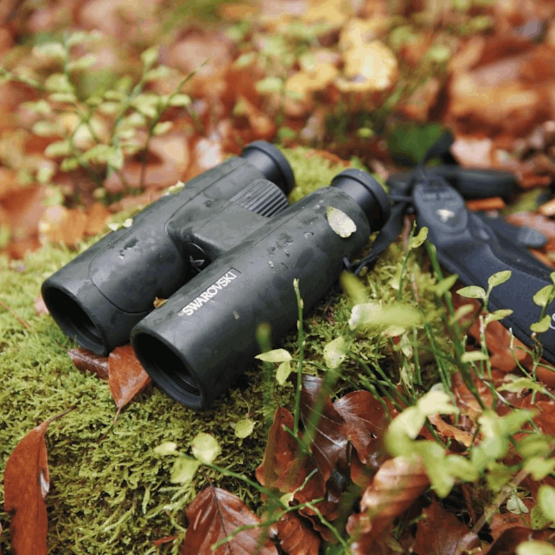 Swarovski SLC 8x56 Binoculars - Image 5