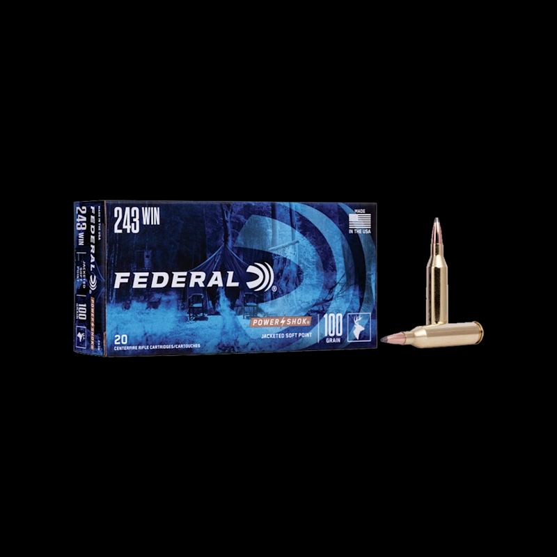 Federal Power Shok 243 Sp 100G - Image 1