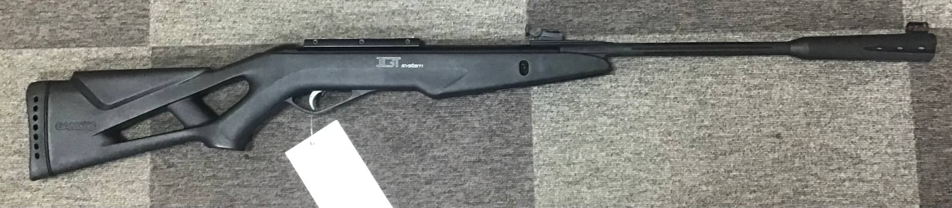 Gamo .22 Whisper IGT - Image 1