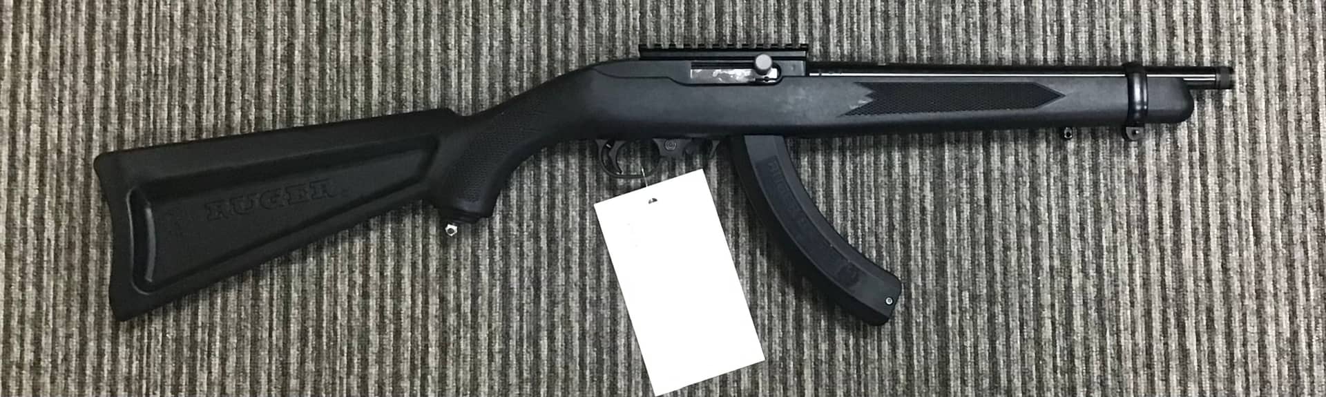 Ruger .22 LR 10/22 Custom - Image 1