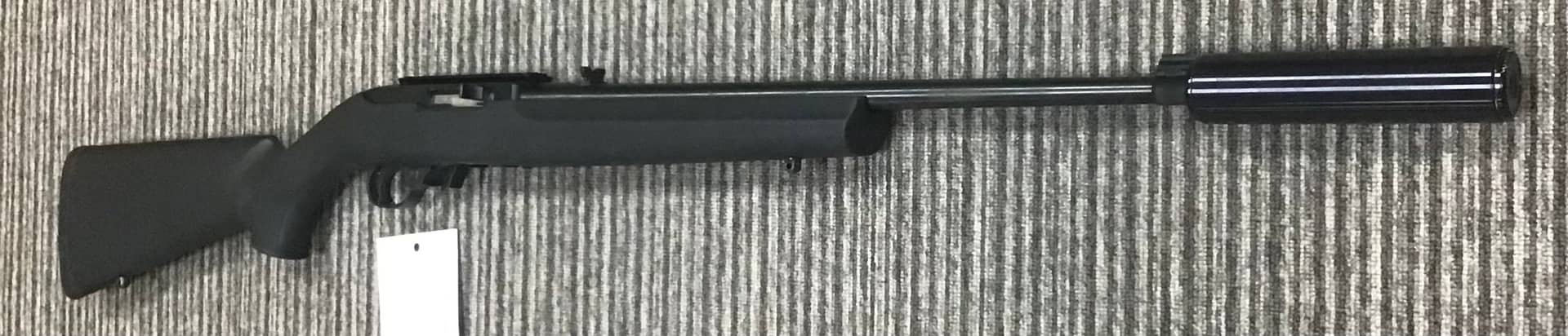 Ruger .22 LR 10/22 Custom thumbnail 4