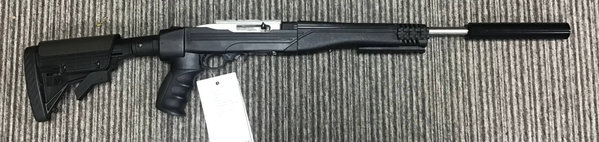 Ruger .22 LR 10/22 Take Down - Image 1