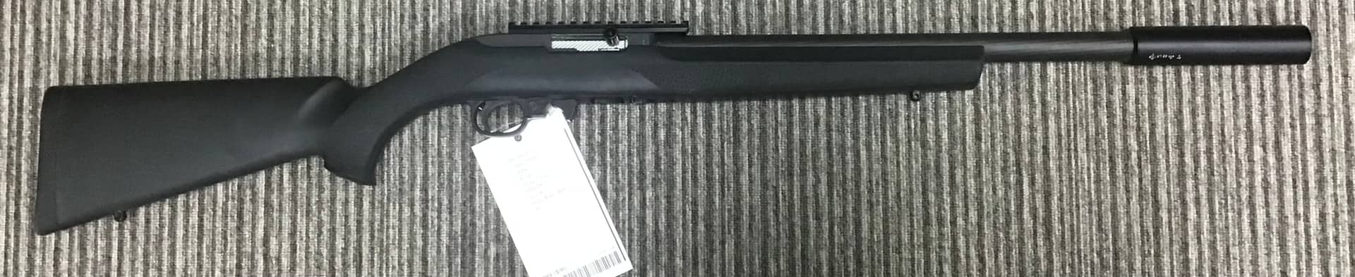 Ruger .22 LR 10/22 Target - Image 1