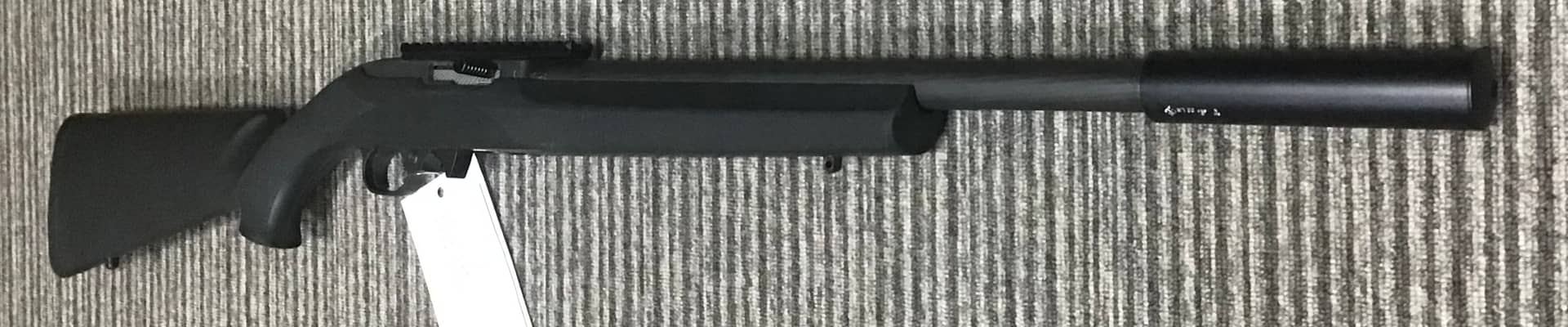 Ruger .22 LR 10/22 Target thumbnail 3