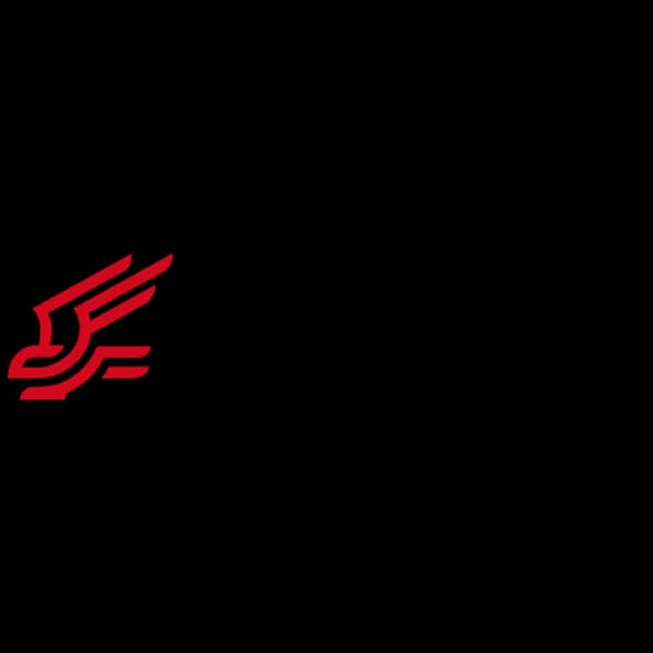 Derya logo