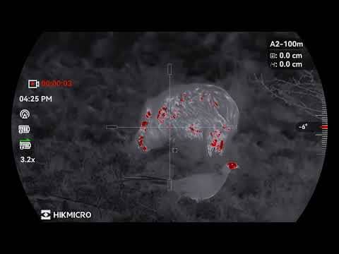 HIKMCRO NEOS| Wildboar& Pheasant