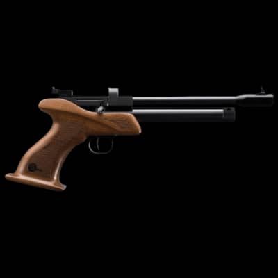 SMK Victory CP1 Multi Shot Air Pistol .22