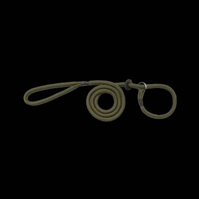 Bisley Basic Dog Slip Lead Green