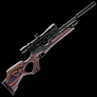 Weihrauch HW100 X KT Laminate Adjustable .22