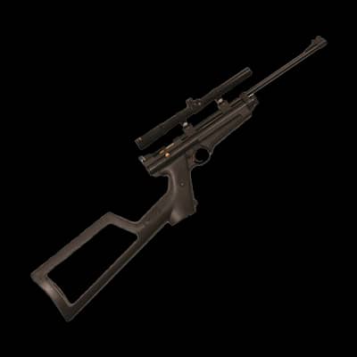Crosman Ratcatcher .22 Air Rifle