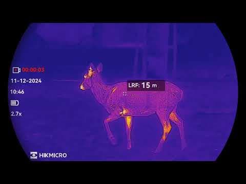 HIKMICRO FALCON 2.0| Deer in Different Ranges