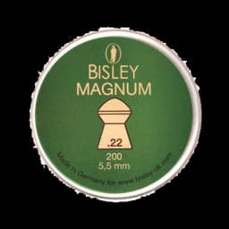Image of Bisley Magnum .22