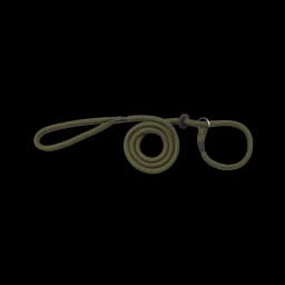 Image of Bisley Basic Dog Slip Lead Green