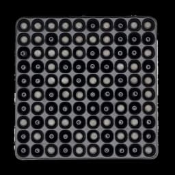 Image of Zan Projectiles 22 Cal 20Gr Slugs (200)