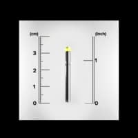Bore Light (Blackpowder)
