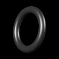 BSA R10 Buddy Bottle O Ring