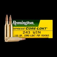 REMINGTON 243 CORE-LOKT SP 100G