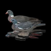 Nra F.U.D. Wood Pigeon