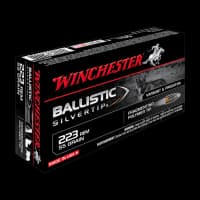 WINCHESTER 223/55G SILVERTIP