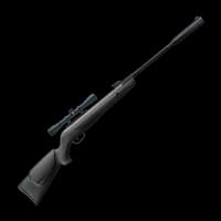 Buy Gamo Whisper Sting .22 Air Rifle With 3-9X40 Scope at Shooting Supplies