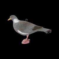 Sport Plast Pigeon Head Up