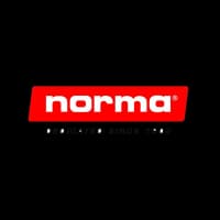 Norma 6.5X55 SP Alaska 156gr