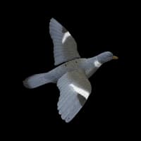Sport Plast Pigeon Flapping Decoy