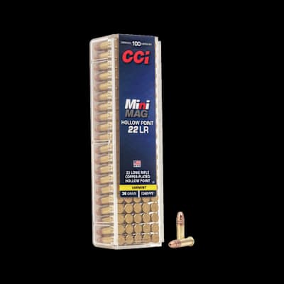 CCI Mini Mag HP 22LR 36gr