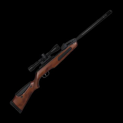 Gamo Maxxim Elite Swarm Igt .22 Air Rifle With Scope