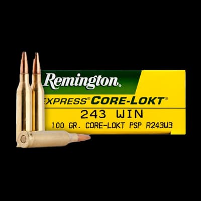 Remington 243 Core-Lokt Sp 100G