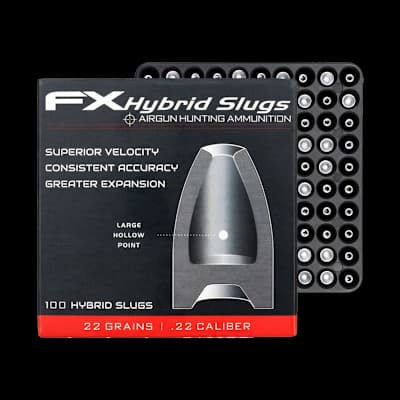 FX Hybrid Slugs 22Cal 22G (100)
