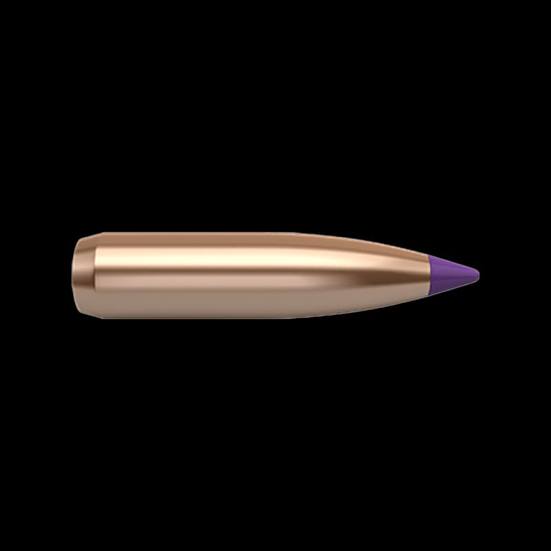 Nosler 6 mm/.243" 95gr Balistic Tip - Image 1