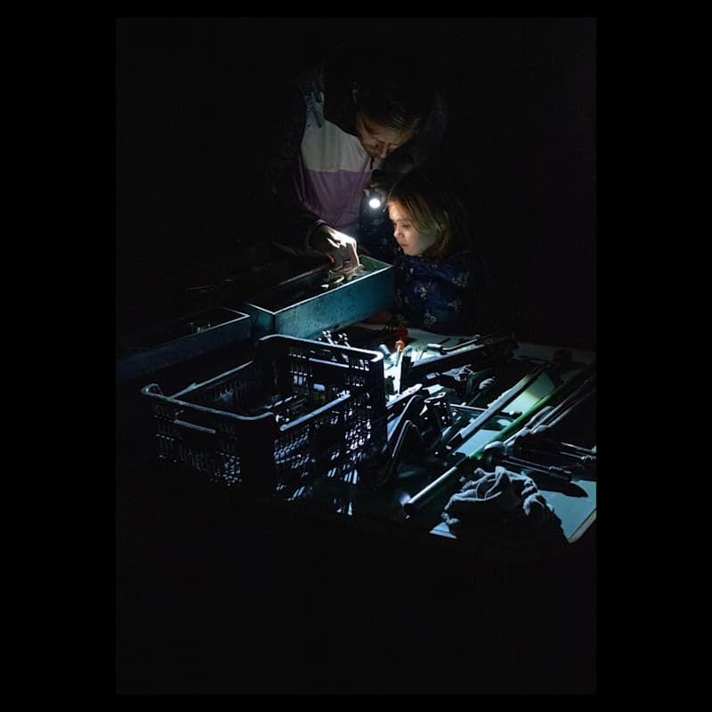 Ledlenser P6 Core Police Led Torch - Image 5