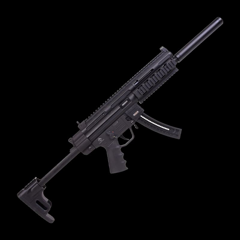 GSG 16 Semi Auto Rifle 22LR 16" - Image 1