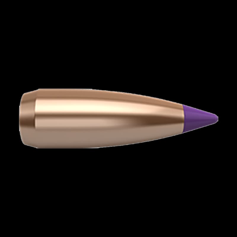 Nosler 6 mm/.243" 55gr Spitzer - Image 1