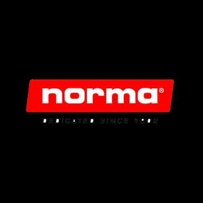 Buy Norma 6.5X55 SP Alaska 156gr at Shooting Supplies