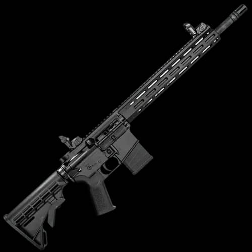 Semi Auto Rifles category