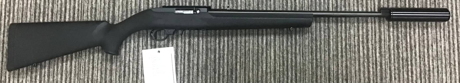 Ruger .22 LR 10/22 Custom