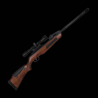 Gamo Maxxim Elite Swarm Igt .22 Air Rifle With Scope