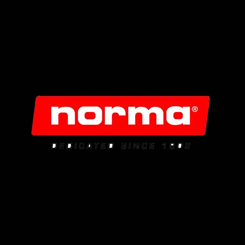 Norma 6.5X55 SP Alaska 156gr - Image 1