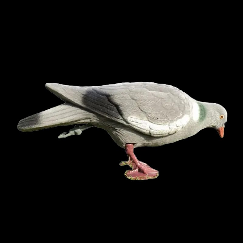 Buy Sport Plast Pigeon Head Down Flocked at Shooting Supplies