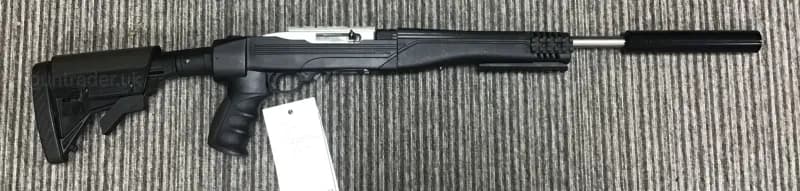 Ruger .22 LR 10/22 Take Down