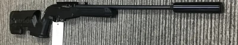 Ruger .22 LR 10/22 Custom