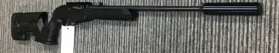 Ruger .22 LR 10/22 Custom thumbnail 1
