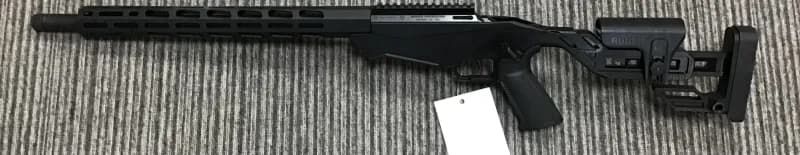 Ruger .22 WMR PRECISION