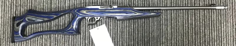 Ruger .22 LR 10/22 Custom