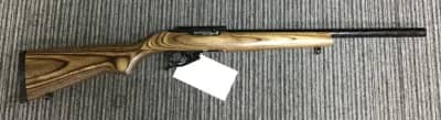 Ruger .22 LR 10/22 Custom