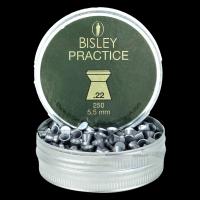 BISLEY PRACTICE .22 (250)
