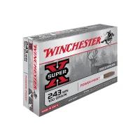 WINCHESTER 243/100G POWERPOINT