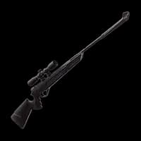 AIR RIFLES category